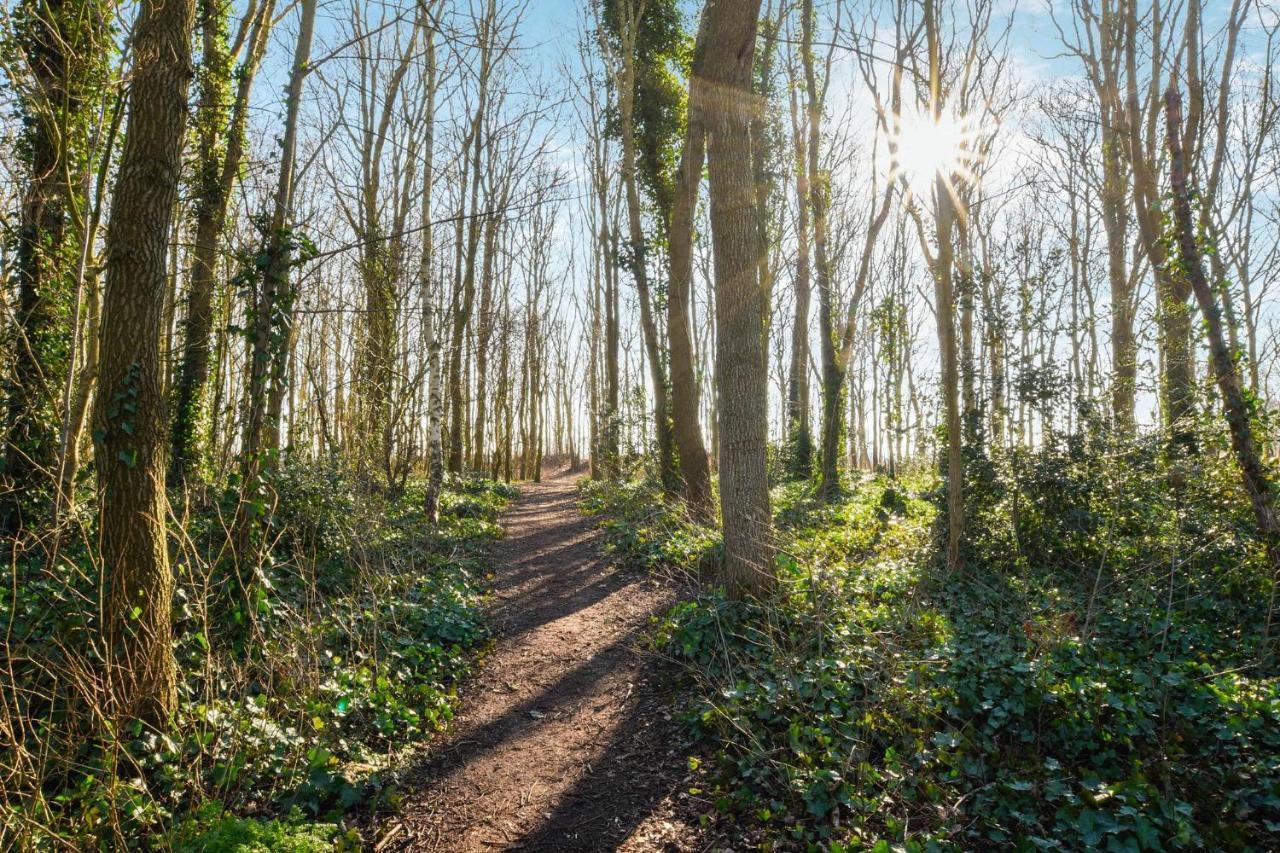Sunnybeachhouse Aan Het Bos, Tussen Zee En Meer. 노르트바이커하우트 외부 사진